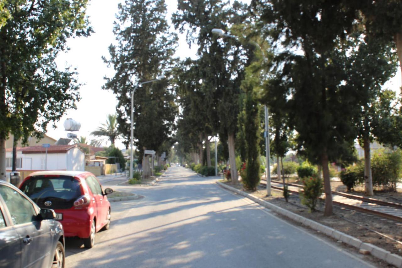 ניקוסיה Costas Hostel Action 2 מראה חיצוני תמונה