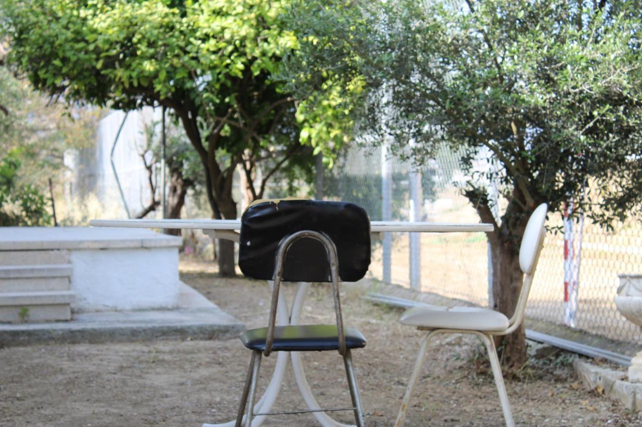 ניקוסיה Costas Hostel Action 2 מראה חיצוני תמונה